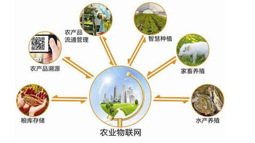 企業(yè)產(chǎn)品溯源系統(tǒng)功能定制開(kāi)發(fā)