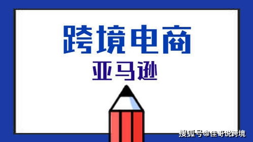 亞馬遜erp系統(tǒng)亞無(wú)貨源店群自發(fā)貨軟件貼牌代理定制